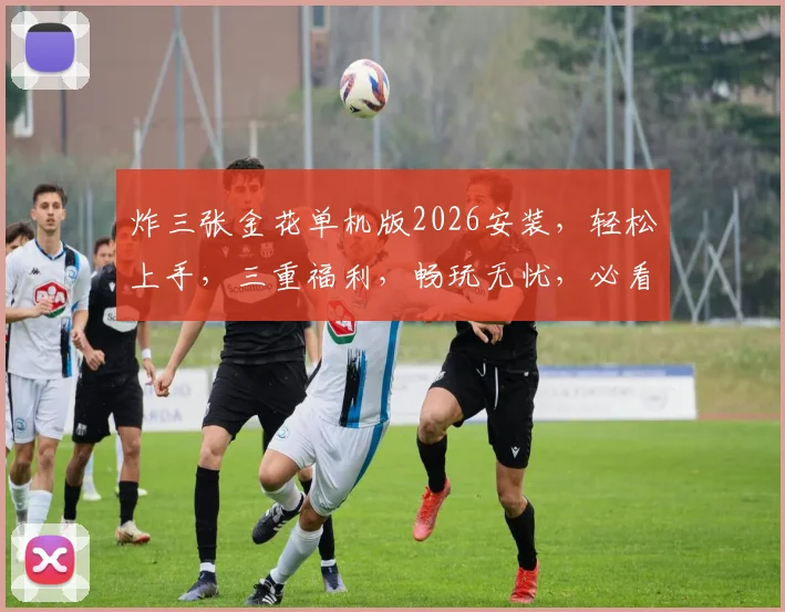 炸三张金花单机版2026安装，轻松上手，三重福利，畅玩无忧，必看攻略，速来体验