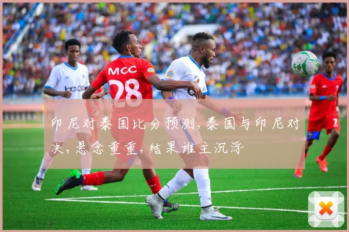 印尼对泰国比分预测,泰国与印尼对决,悬念重重,结果谁主沉浮