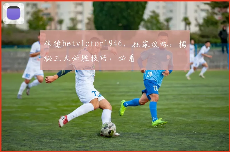 伟德betvlctor1946，独家攻略，揭秘三大必胜技巧，必看