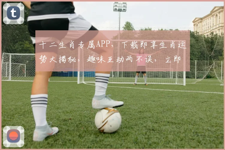 十二生肖专属APP，下载即享生肖运势大揭秘，趣味互动两不误，立即下载体验