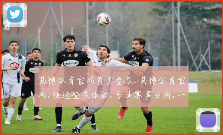 易博体育官网首页登录,易博体育官网,快速登录体验,专业赛事分析,一站式服务